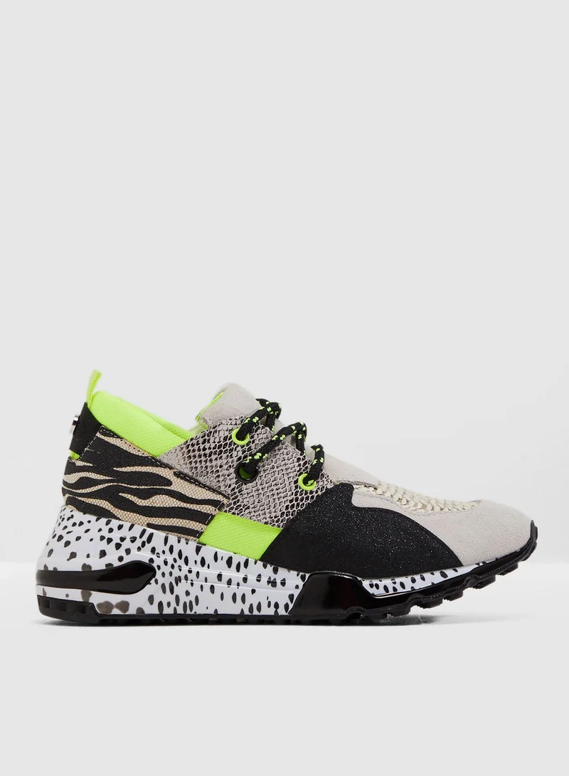 STEVE MADDEN Cliff Low Top Sneaker