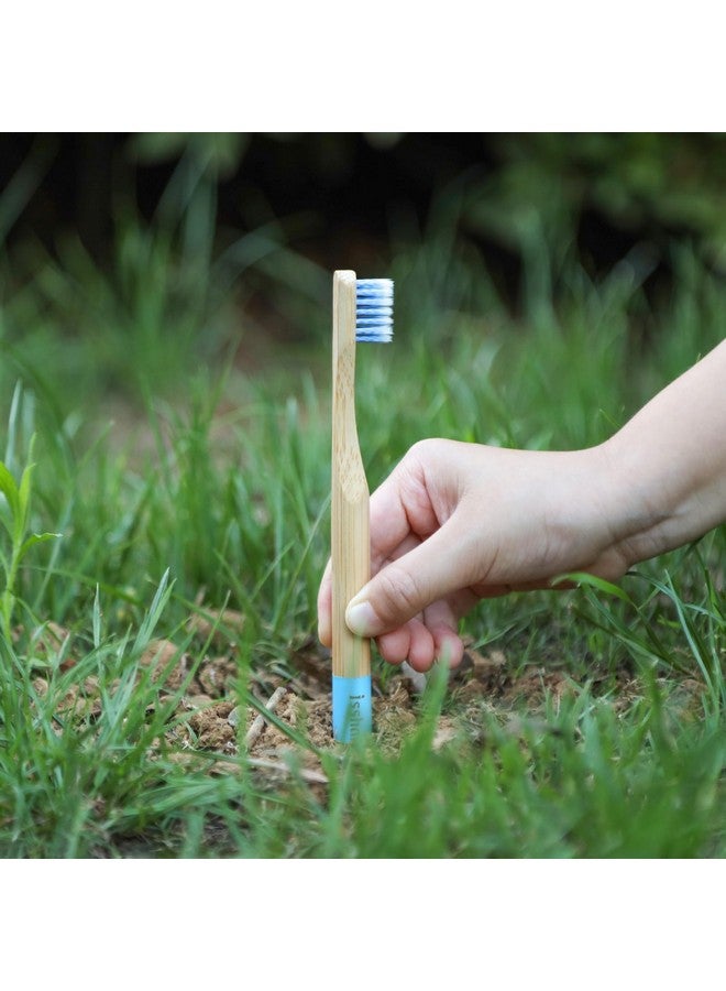 Isshah Kids Bamboo Toothbrushes Biodegradable Handle BPA Free Eco Friendly Children Size, FSC Certified and PETA Approved, Pack of 6 (Spiral Soft Nylon Bristles) - Image 5