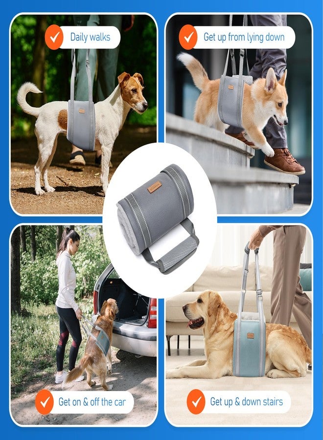 Sunsleek Extra Large Dog Lift Harness, Adjustable Dog Sling for Back Legs, Hip Support Harness to Help Lift Dogs Rear for Helps Senior, Injured, Disabled and After ACL Surgery Dogs - XX-Large, Grey - Image 2
