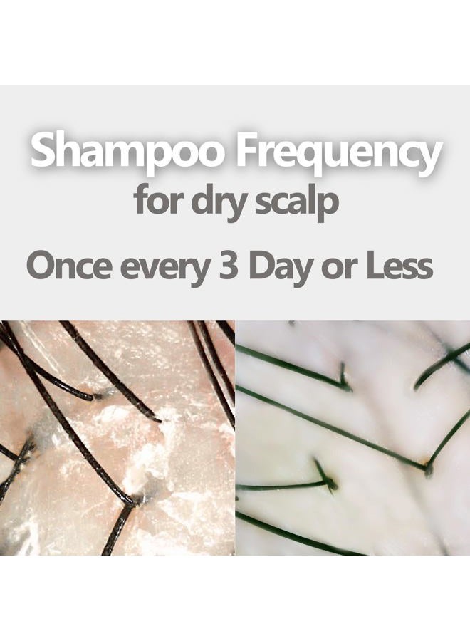 AROMASE Dry Scalp Soothing Shampoo for Dry, Itchy, and Flaky Scalps – designed to relieve scalp itchiness and provide lasting comfort gently - Image 5