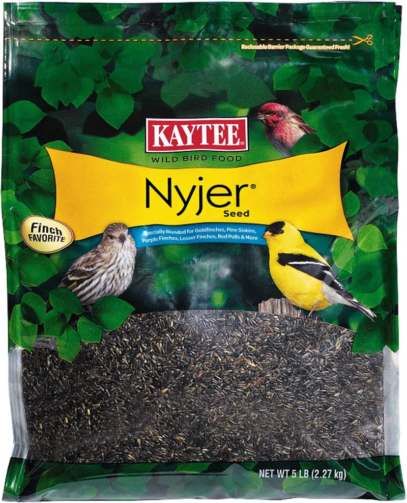 Kaytee Nyjer Wild Bird Food Seed, 5 Pound - Image 1