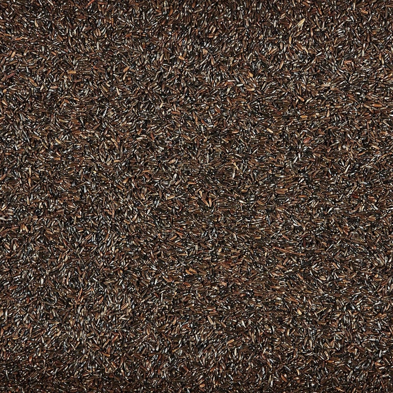 Kaytee Nyjer Wild Bird Food Seed, 5 Pound - Image 3