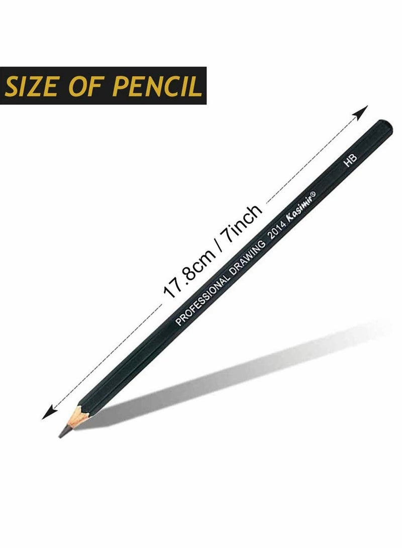 KASTWAVE Pencils Artist Sketching Set Drawing Pencils Set, 14pcs Sketching Pencils 12B 10B 8B 7B 6B 5B 4B 3B 2B B HB 2H 4H 6H Graphite Pencils for Adults Artists Student Beginners Professional - Image 2