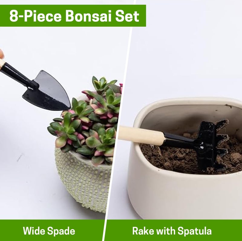 ZELARMAN Bonsai Set 8 Pcs - Include Pruner,Fold Scissors,Mini Rake,Bud & Leaf Trimmer Set by ZELAR Made - Image 5