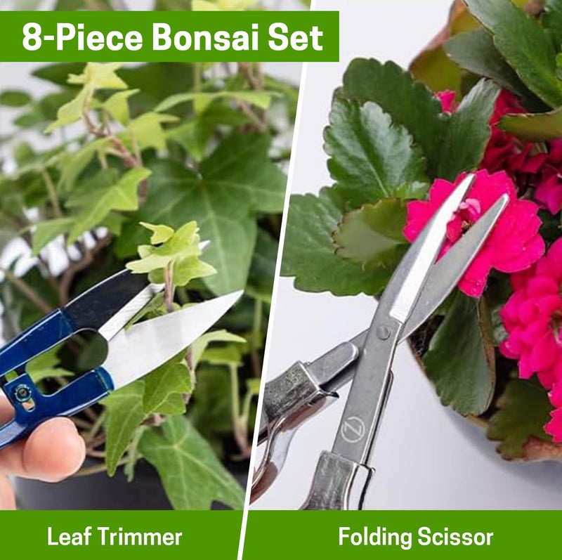 ZELARMAN Bonsai Set 8 Pcs - Include Pruner,Fold Scissors,Mini Rake,Bud & Leaf Trimmer Set by ZELAR Made - Image 3