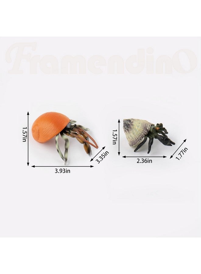 Framendino, 4 Pack Realistic Sea Animals Hermit Crab Model for Home Decorations - Image 2