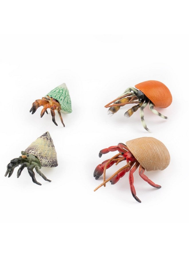 Framendino, 4 Pack Realistic Sea Animals Hermit Crab Model for Home Decorations - Image 1