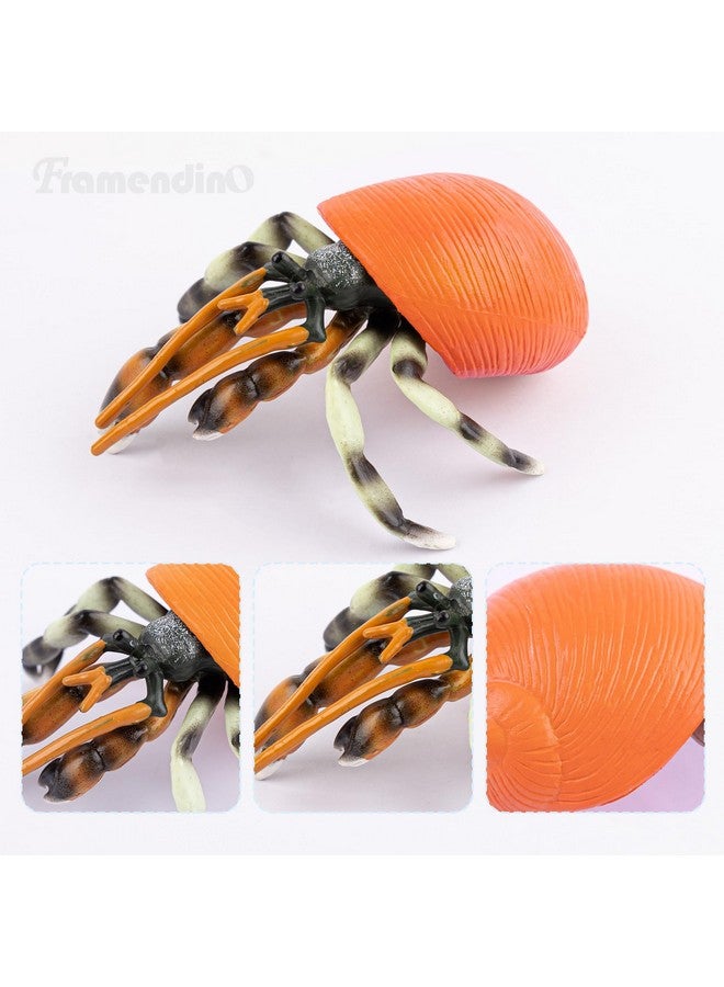 Framendino, 4 Pack Realistic Sea Animals Hermit Crab Model for Home Decorations - Image 3