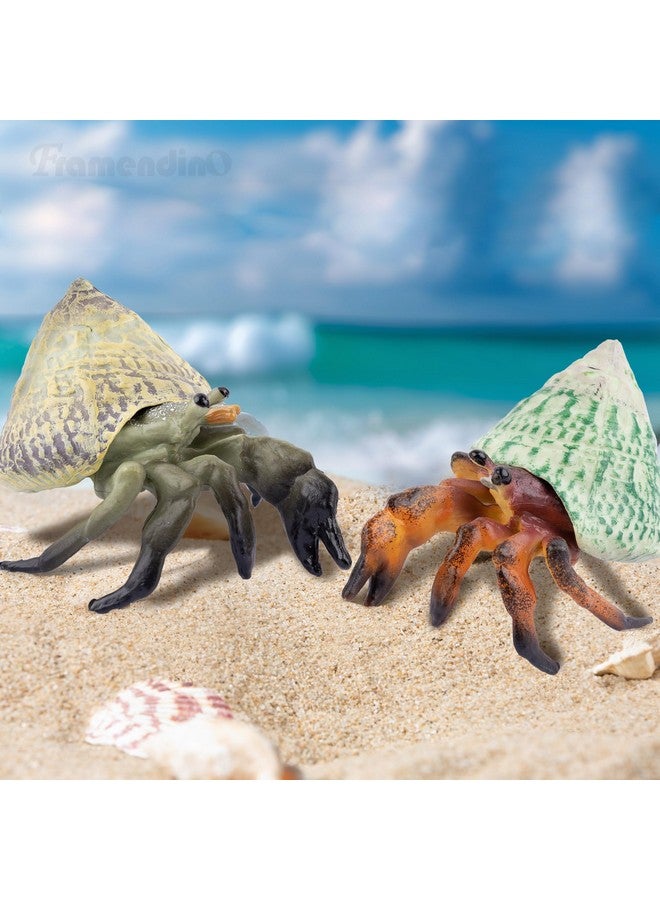 Framendino, 4 Pack Realistic Sea Animals Hermit Crab Model for Home Decorations - Image 5