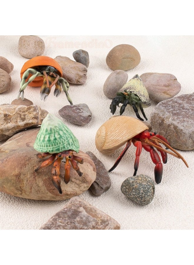 Framendino, 4 Pack Realistic Sea Animals Hermit Crab Model for Home Decorations - Image 4