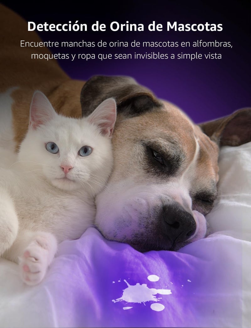 Lighting EVER LE Small UV Blacklight Flashlight, Portable Black Light 395nm, Ultraviolet Light Detector for Invisible Ink Pens, Dog Cat Pet Urine Stain, AAA Batteries Included - Image 2