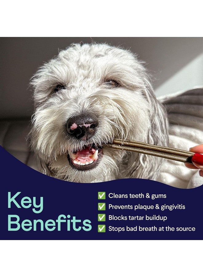 فين علكات أسنان فين بلاك باترول | حماية ثلاثية المفعول ضد البلاك والجير ورائحة الفم الكريهة | للكلاب المتوسطة/الكبيرة، بوزن ٢٥ رطلاً فأكثر - Image 3