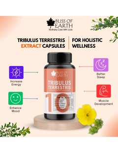 BLISS OF EARTH Tribulus Terrestris Extract Supplement For Men & Women 500mg High Potency Gokshura Root Extract 60 Veg Capsules For Energy Stamina & Muscle Growth Pack of 2  - Image 2
