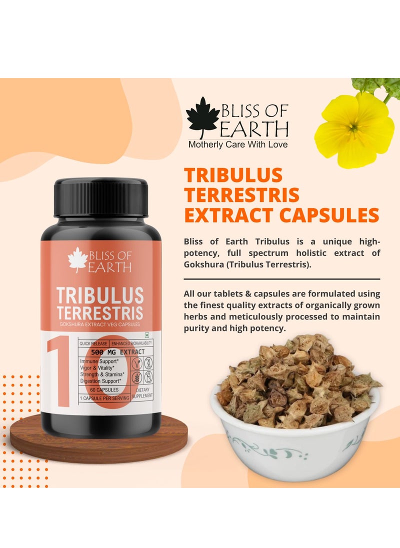 BLISS OF EARTH Tribulus Terrestris Extract Supplement For Men & Women 500mg High Potency Gokshura Root Extract 60 Veg Capsules For Energy Stamina & Muscle Growth Pack of 2  - Image 3