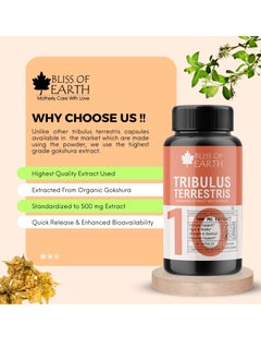 BLISS OF EARTH Tribulus Terrestris Extract Supplement For Men & Women 500mg High Potency Gokshura Root Extract 60 Veg Capsules For Energy Stamina & Muscle Growth Pack of 2  - Image 4