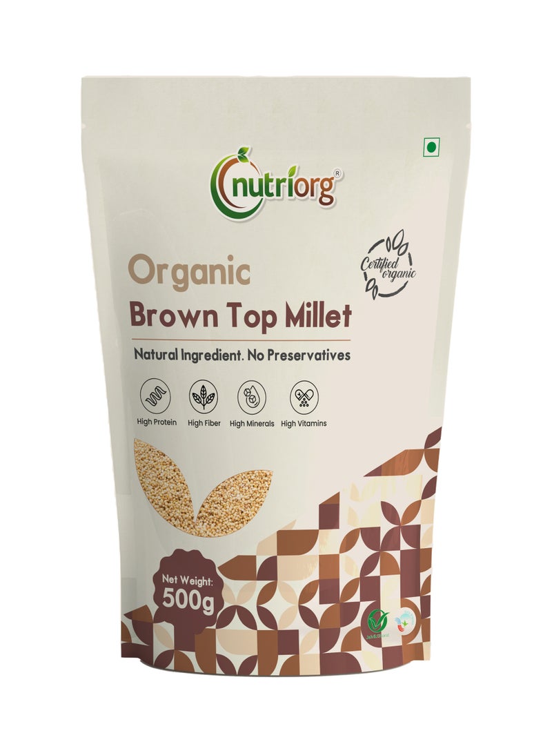 نوتريورج الدخن العضوي البني 500 جرام