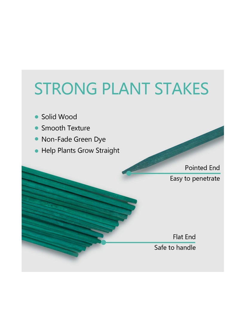 Generic - Garden Stakes Green Bamboo Sticks Decorative, Wooden Plant Support Sticks, Green Wood Plant Stakes, Floral Plant Support Stakes, Wooden Sign Posting Garden Sticks and DIY Activities - Image 1