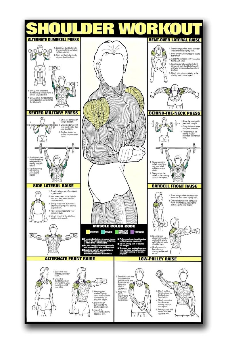 PIXELARTZ ملصق حائط تحفيزي للتمارين الرياضية ورسوم توضيحية لبناء الأجسام - ملصقات بجودة HD للمنزل، المكتب، الغرفة، جدار الصالة الرياضية - متعدد الألوان (602) - Image 1