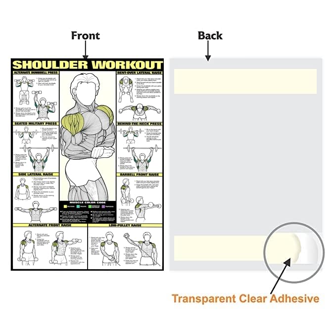 PIXELARTZ ملصق حائط تحفيزي للتمارين الرياضية ورسوم توضيحية لبناء الأجسام - ملصقات بجودة HD للمنزل، المكتب، الغرفة، جدار الصالة الرياضية - متعدد الألوان (602) - Image 5