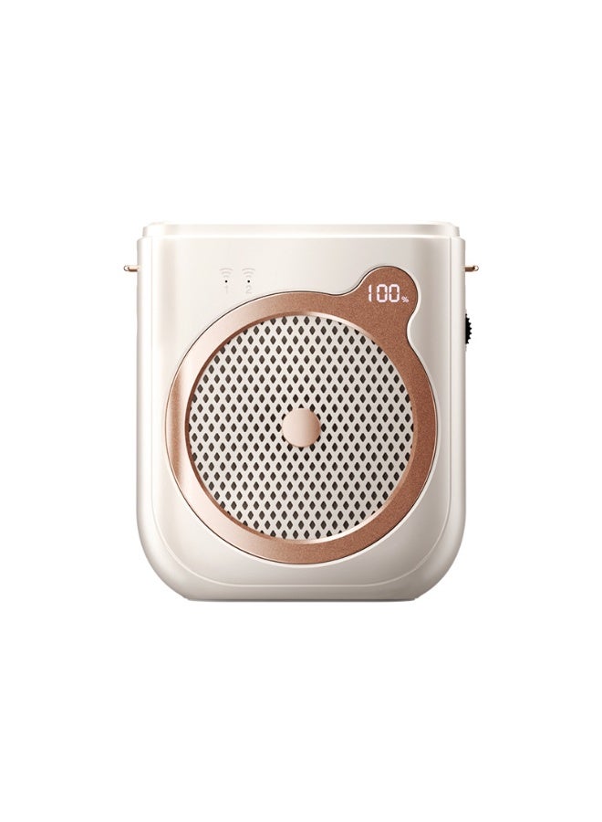 M MIAOYAN Portable Voice Amplifier Speaker 10W with 2 Wireless Magnetic Microphones for Teaching Speech - Image 1