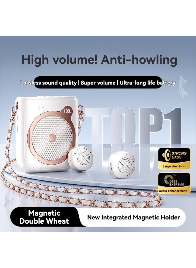 M MIAOYAN Portable Voice Amplifier Speaker 10W with 2 Wireless Magnetic Microphones for Teaching Speech - Image 2