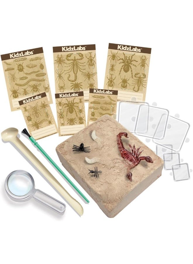 4M KidzLabs Creepy Crawlies Digging Kit â€“ Excavate & Discover 5 Colorful Insect Replicas Hidden in Plaster | STEM Science Activity for Curious Kids Ages 5+ / 00-03397 - Image 2