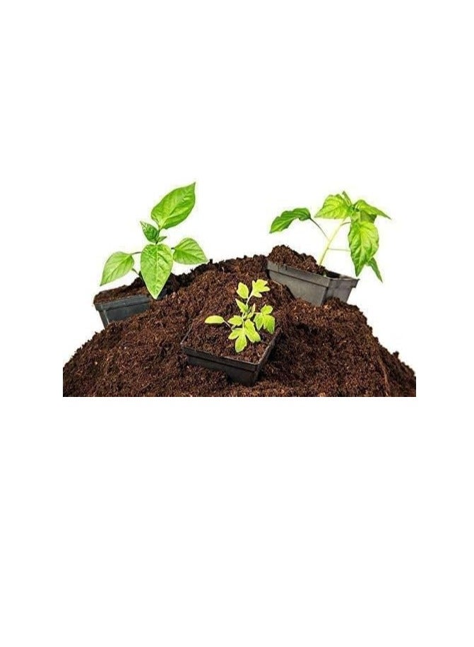 Ready-to-use soil, peat moss, natural, imported, high absorption, excellent soil mix, imported peat moss ready to use (kg,6) - Image 1