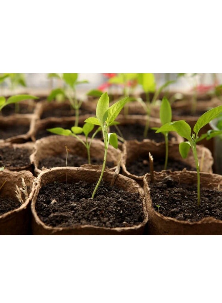 Ready-to-use soil, peat moss, natural, imported, high absorption, excellent soil mix, imported peat moss ready to use (kg,6) - Image 2