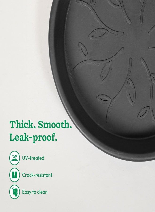 Ugaoo UV Treated Gardening Plastic Tray (Plate/Saucer) for Pots - 12 inch, Black Color, Set of 12 | Tray for Plants Pot for Indoor Home Decor & Outdoor Garden & Balcony - Image 3