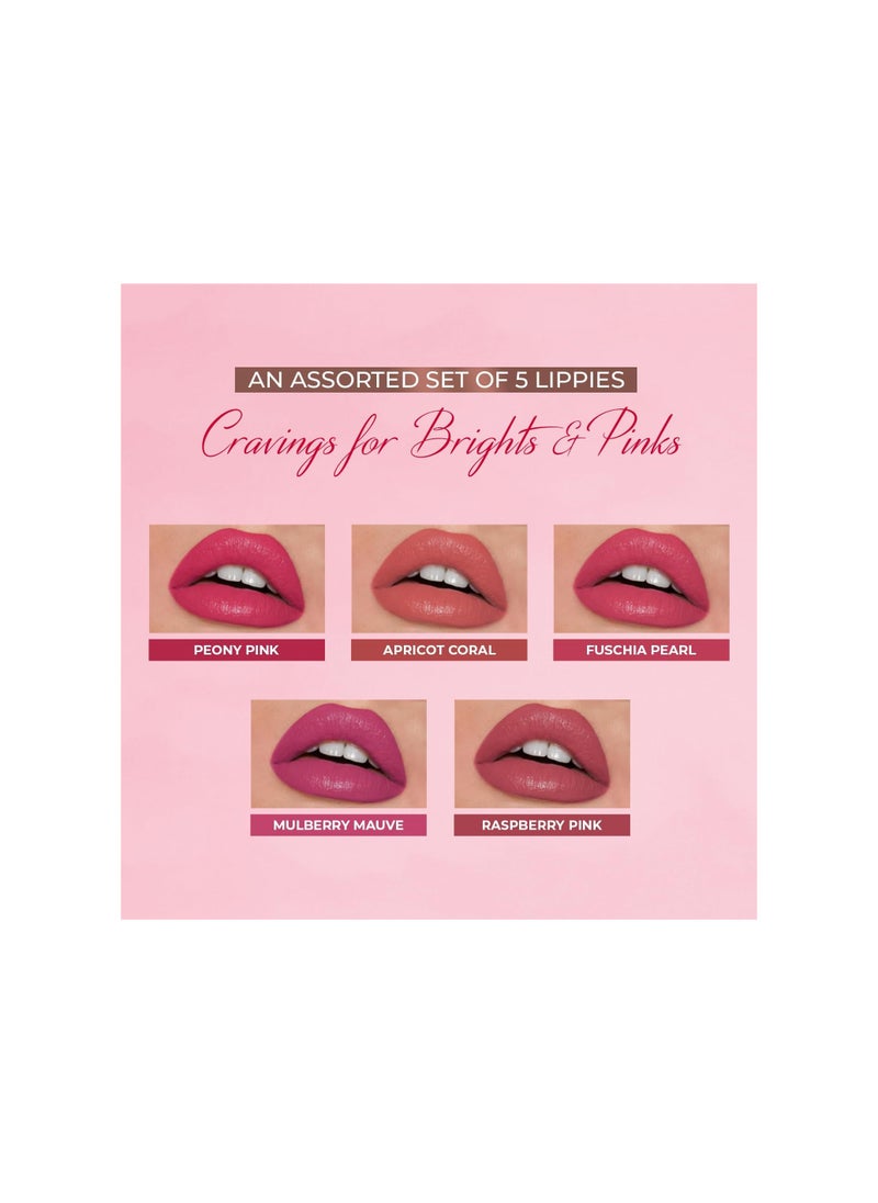 Just Herbs Just Herbs Ayurvedic Liquid Lipstick Kit Set of 5 with Long Lasting Hydrating Lightweight Lip Colour  - Image 3