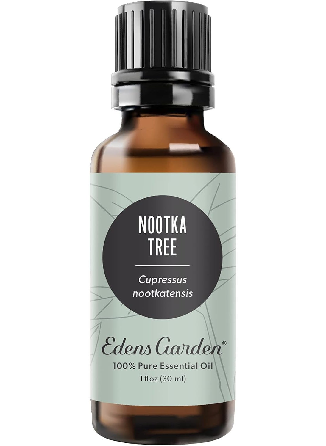 Edens Garden Edens Garden Nootka Tree Essential Oil- 100% Pure Premium Grade, Undiluted, Natural, Therapeutic, Aromatherapy, The Best for Diffuser, Skin, Candle, Laundry 30 ml (1 fl oz) 
