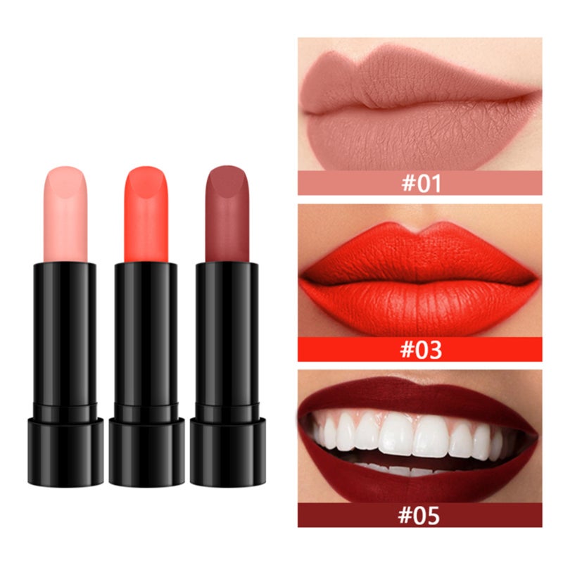 Cosmetics and Makeup Set Combination  BOX02  color - Image 2