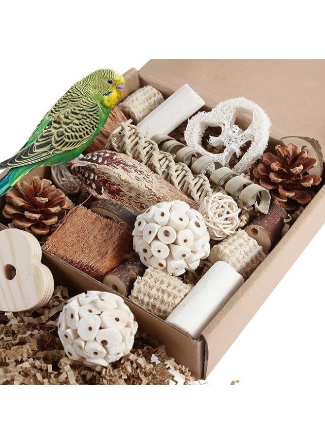 سيلكفكس لعب الطيور لعب الببغاء لعب الطيور الطبيعية علبة الغذاء لعب القدم للبقاع والكوكاتيل والكونورز وطيور الحب وغيرها من الطيور الصغيرة والمتوسطة - Image 1