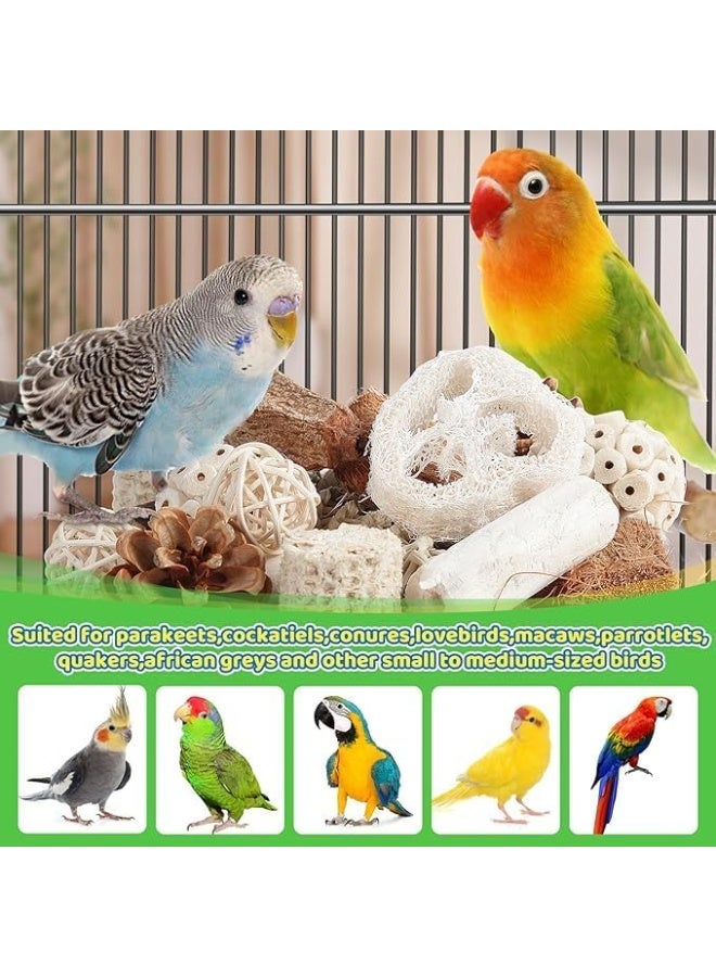 سيلكفكس لعب الطيور لعب الببغاء لعب الطيور الطبيعية علبة الغذاء لعب القدم للبقاع والكوكاتيل والكونورز وطيور الحب وغيرها من الطيور الصغيرة والمتوسطة - Image 3
