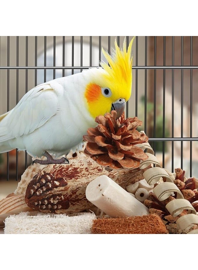 سيلكفكس لعب الطيور لعب الببغاء لعب الطيور الطبيعية علبة الغذاء لعب القدم للبقاع والكوكاتيل والكونورز وطيور الحب وغيرها من الطيور الصغيرة والمتوسطة - Image 4