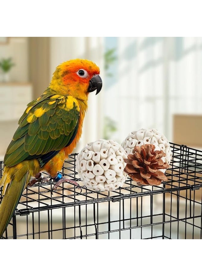 سيلكفكس لعب الطيور لعب الببغاء لعب الطيور الطبيعية علبة الغذاء لعب القدم للبقاع والكوكاتيل والكونورز وطيور الحب وغيرها من الطيور الصغيرة والمتوسطة - Image 5