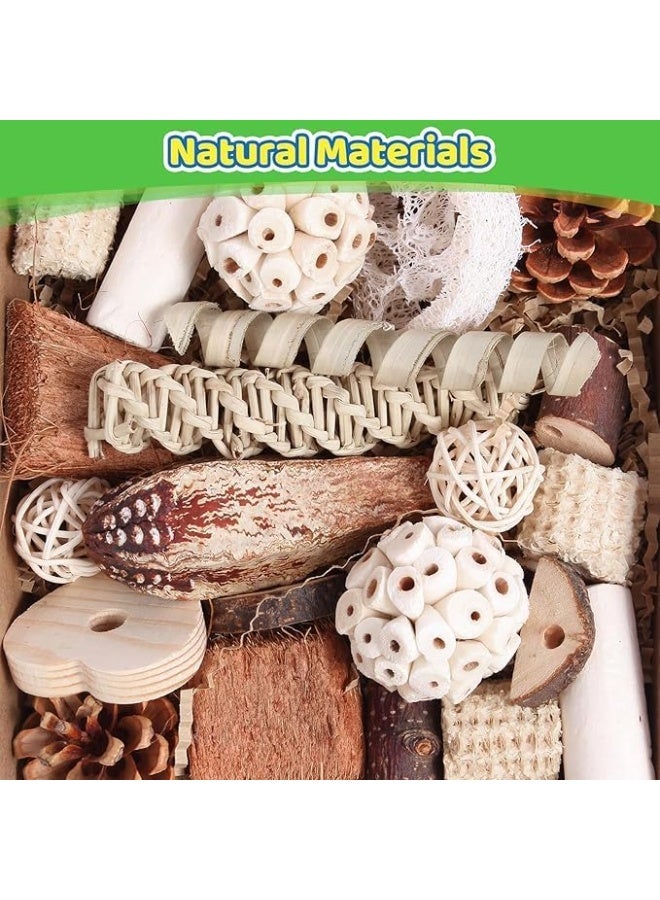 سيلكفكس لعب الطيور لعب الببغاء لعب الطيور الطبيعية علبة الغذاء لعب القدم للبقاع والكوكاتيل والكونورز وطيور الحب وغيرها من الطيور الصغيرة والمتوسطة - Image 2