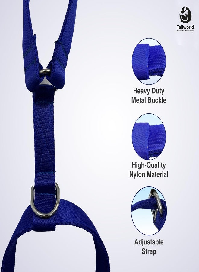 Tailworld Dog Harness | Soft Nylon Harness | Adjustable and Highly Durable Material| Medium and Large All Breeds for Dogs| Easy Control Dog Chest Belt| No More Pulling Or Choking - Image 3