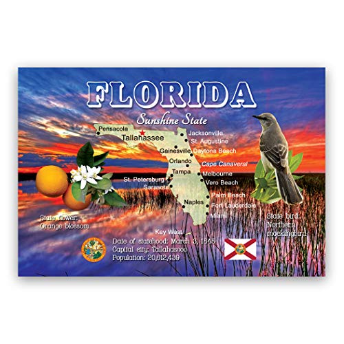 Postcard Fair Florida MAP Postcard Set of 20 Identical Postcards. FL State map Post Cards. Made in USA. - Image 1