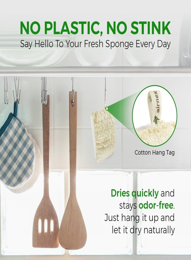 AIRNEX Natural Loofah Sponges for Dishes Pack of 6 - Compostable and Cellulose Kitchen Loofah - Plastic Free Dish Sponges Kitchen with Cotton Hanging Loop - Image 3