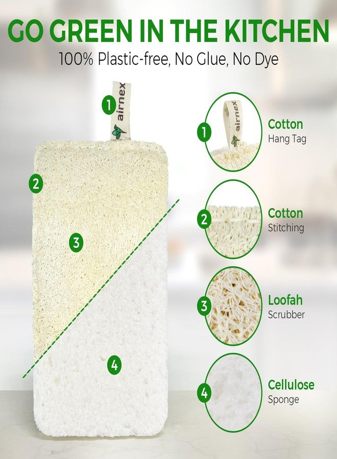AIRNEX Natural Loofah Sponges for Dishes Pack of 6 - Compostable and Cellulose Kitchen Loofah - Plastic Free Dish Sponges Kitchen with Cotton Hanging Loop - Image 2