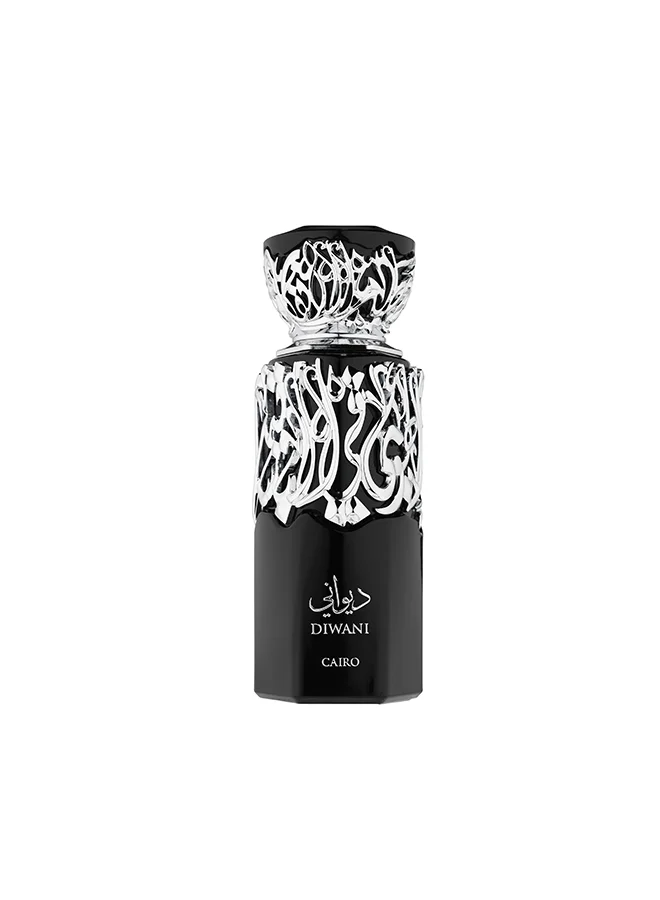 French Avenue Diwani Cairo - Eau de Parfum - Perfume For Men, 100ml