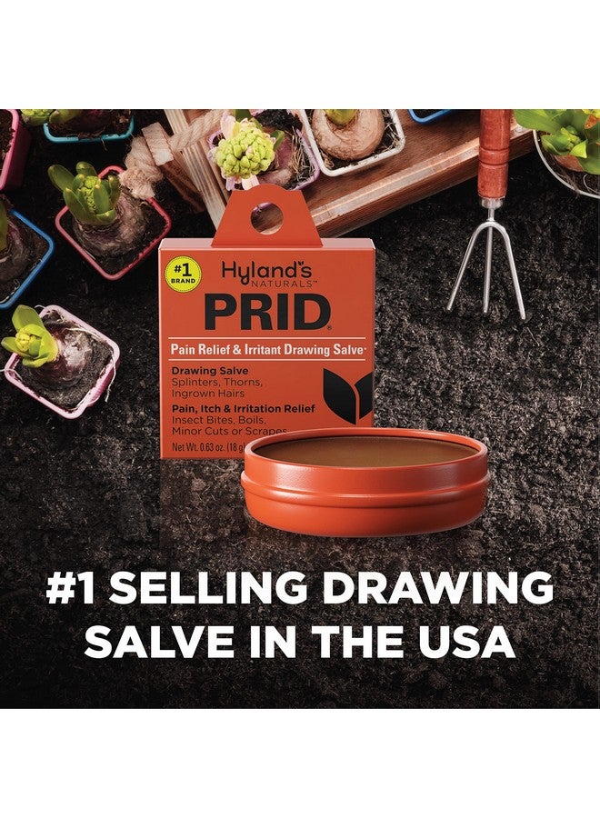 Hyland's PRID Drawing Salve Naturals (2 Pack) - Image 4