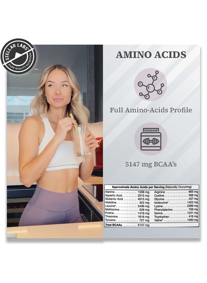 Stellar Labs Whey Protein Powder with BCAA's & Whey Isolate | Certified Low FODMAP, Non GMO, Gluten Free, Low Carb, Keto, with Stevia | All Natural Lean Post Workout Shakes | Chocolate - Image 4