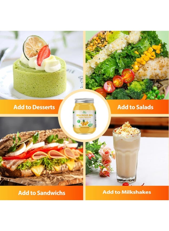 جل طحالب البحر - 18.5 أونصة بنكهة المانجو والأناناس، جل طحالب البحر الخام المغذي، غني بـ 102 نوع من الفيتامينات والمعادن والبروتينات والفيتامينات، مناسب للنباتيين - Image 4