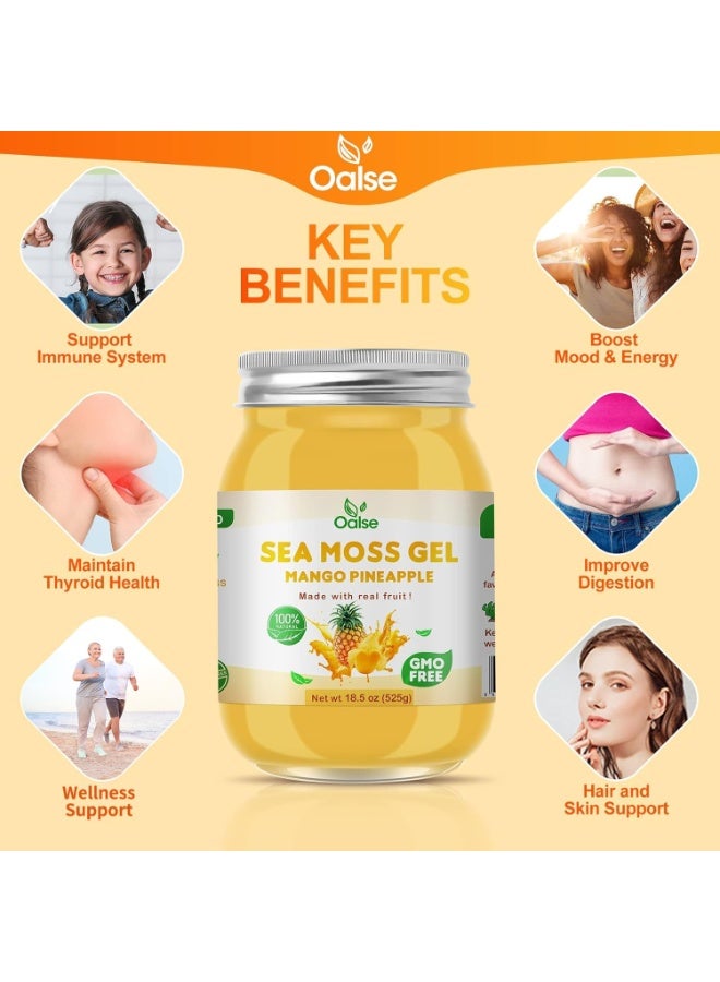 جل طحالب البحر - 18.5 أونصة بنكهة المانجو والأناناس، جل طحالب البحر الخام المغذي، غني بـ 102 نوع من الفيتامينات والمعادن والبروتينات والفيتامينات، مناسب للنباتيين - Image 3