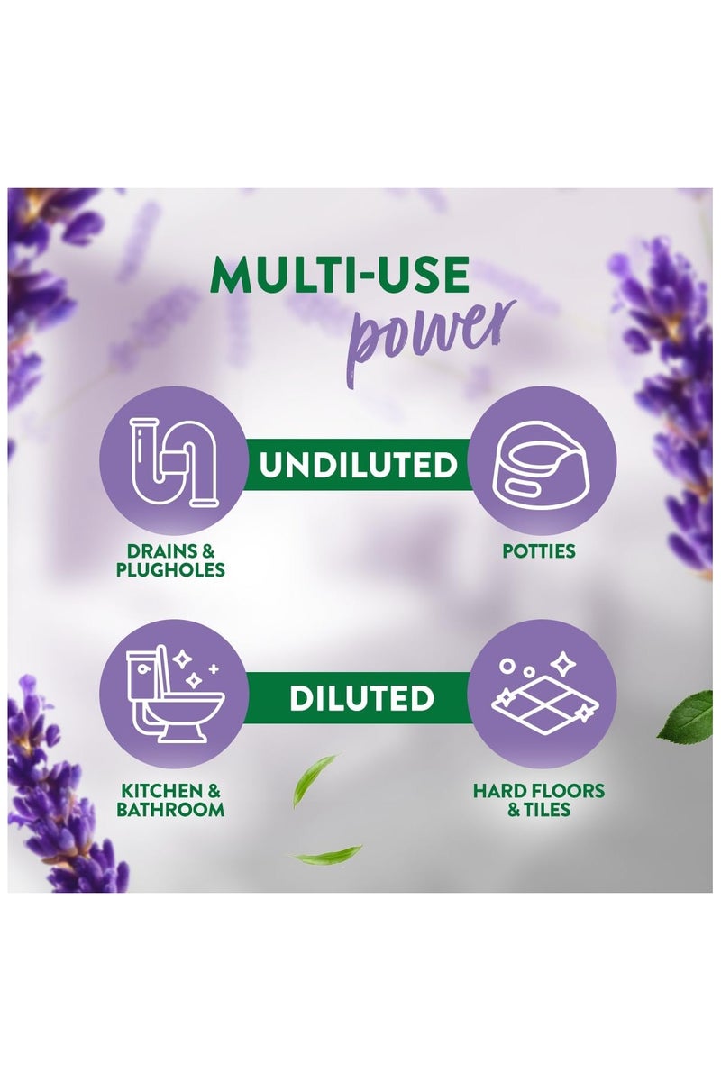 زوفلورا مطهر مركز متعدد الاغراض برائحة اللافندر 120مل - Image 4