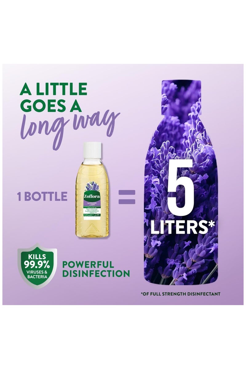 زوفلورا مطهر مركز متعدد الاغراض برائحة اللافندر 120مل - Image 5