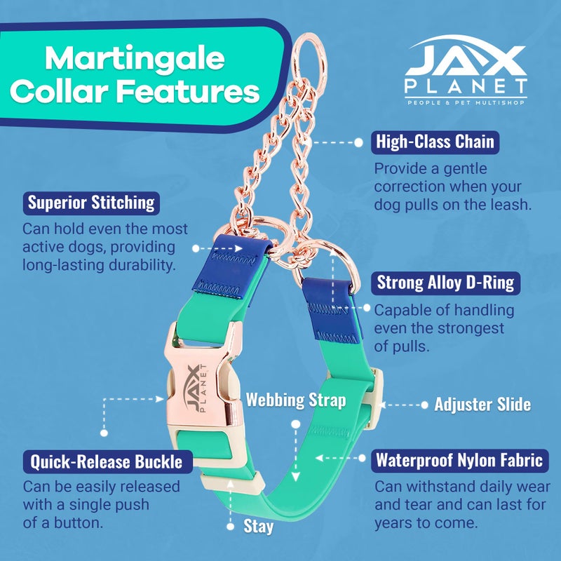 JAX PLANET Jelly Waterproof Martingale Dog Collar in Turquoise & Blue - No Pull Nylon Collars for Outdoor Training & Walking - Alloy Metal Release Buckle & Heavy Duty D Ring, Escape Free, One Time Adjustment, C4 - Image 2