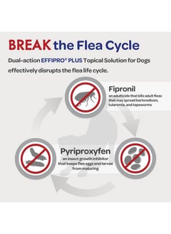 Virbac Virbac Effipro Plus Topical Solution for Dogs - Dog Flea and Tick Treatment for Small Dogs (5-22.9lbs), 3 Doses, Waterproof Topical Prevention  - Image 5